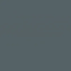 GoodHome Mid Grey Satin Multi-surface Furniture Wood Varnish, 750ml 5 GoodHome Mid Grey Satin Multi-surface Furniture Wood Varnish, 750ml -trade point store goodhome mid grey satin multi surface furniture wood varnish 750ml5059340486840 36c