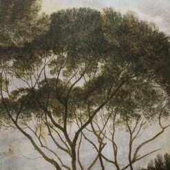 GoodHome Triphan Multicolour Trees Matt Mural 6 GoodHome Triphan Multicolour Trees Matt Mural -trade point store goodhome triphan multicolour trees matt mural5059340471167 36c