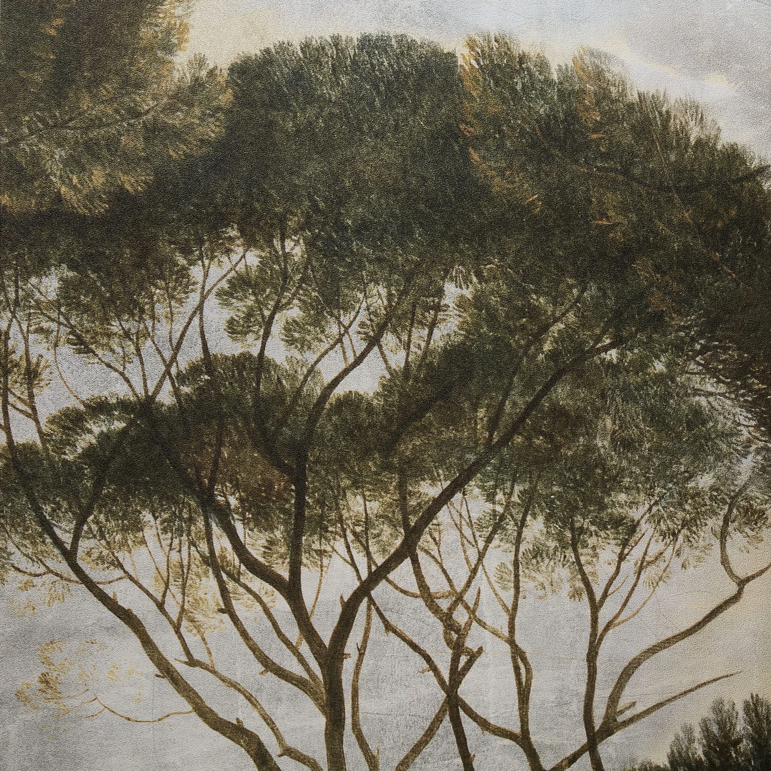 GoodHome Triphan Multicolour Trees Matt Mural GoodHome Triphan Multicolour Trees Matt Mural -trade point store goodhome triphan multicolour trees matt mural5059340471167 36c scaled